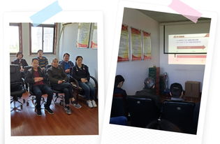 凝聚青年力量 彰显时代担当——上海宝郊园商务信息咨询党支部组织收看主题讲座